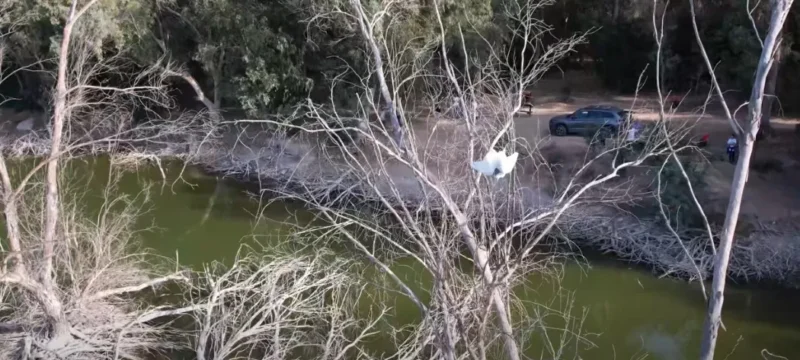 897987979879876987-thumb