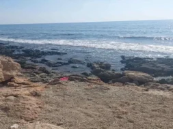 91f83830_a725_4994_a66e_907e4214802e_thumb-thumb