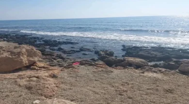 91f83830_a725_4994_a66e_907e4214802e_thumb-thumb