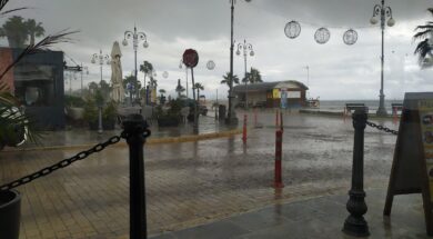 FOINIKOYDES_LARNACA.2e16d0ba.fill-1600×900