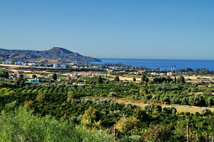 Στους δρόμους μαθητές και καθηγητές στη Λεύκα μετά το σεισμό – Διαμαρτύρονται για παραμέληση των σχολείων