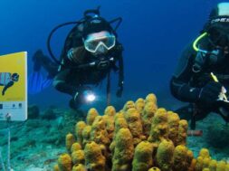 KATADYTIKOS-TOYRISMOS-2