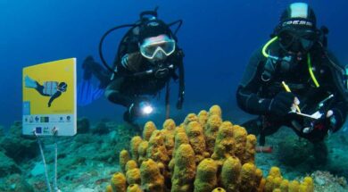 KATADYTIKOS-TOYRISMOS-2