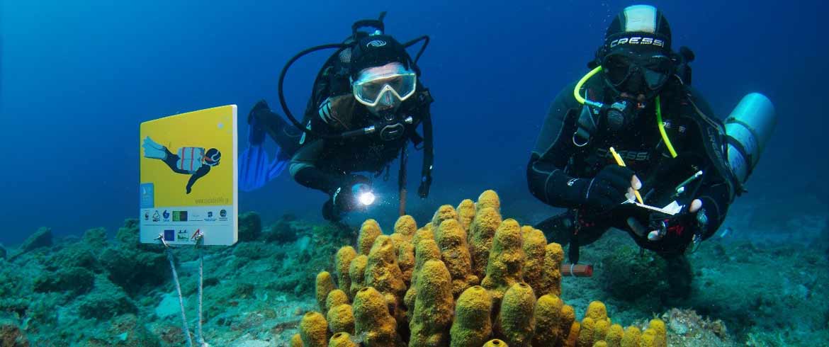 Υπουργικό Συμβούλιο: Ενέκρινε νομοσχέδιο για τον καταδυτικό τουρισμό