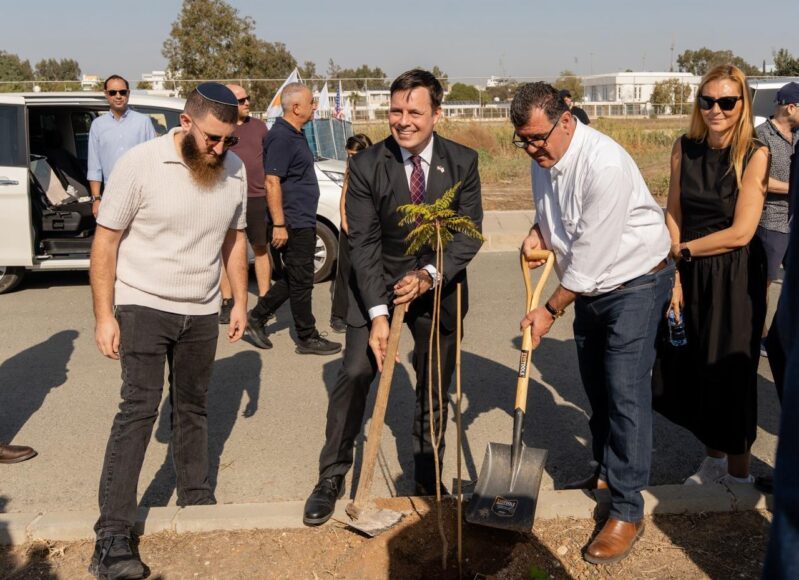 WhatsApp Image 2025-11-25 at 10.41.24 AM (1)