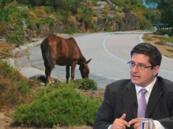 alogo-simos-aggelides-2048×1152