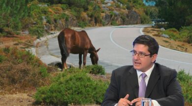 alogo-simos-aggelides-2048×1152