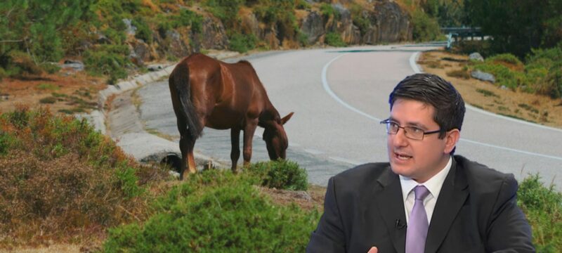 alogo-simos-aggelides-2048×1152