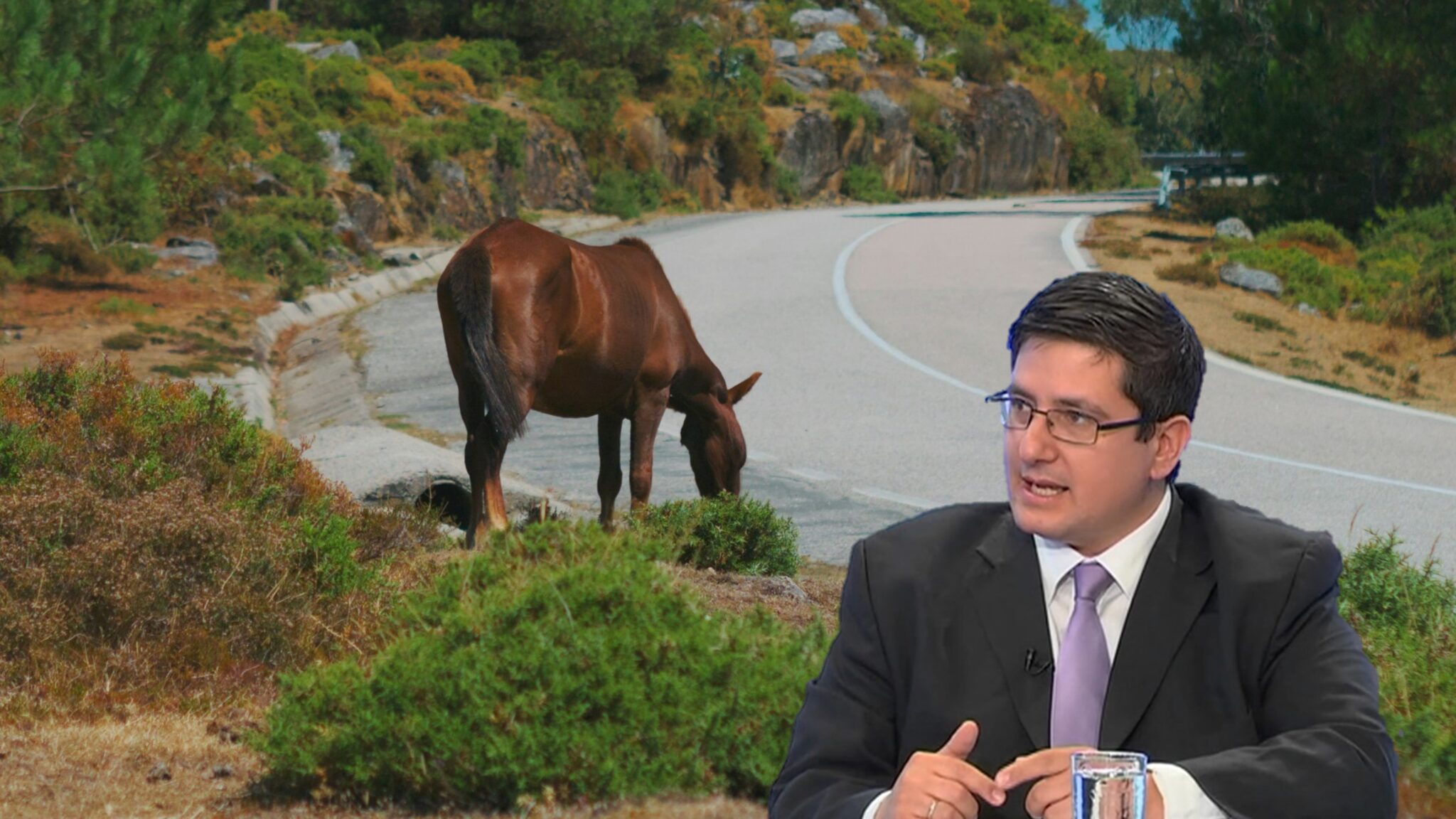 Πόσο… άλογος είναι τελικά ο νόμος για τα άλογα, τα ρούχα και τα χαλιά;