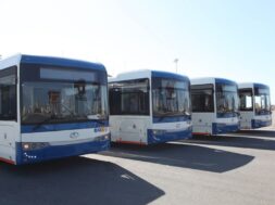 b_b_leoforeia_2_ID_1020611-1