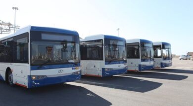 b_b_leoforeia_2_ID_1020611-1