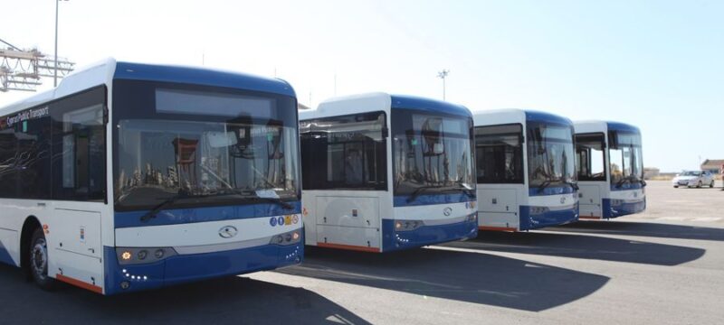 b_b_leoforeia_2_ID_1020611-1