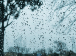 bef50450e9bef24cd98c80c71f4072e8