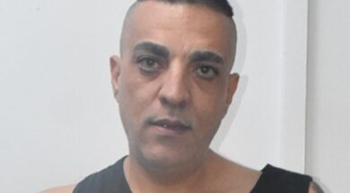 cache_1300x500_Analog_medium_1348230_93173_25_11_07_151607