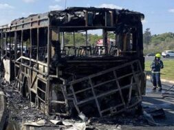 cache_1300x500_Analog_medium_1353662_198011_25_11_24_090547