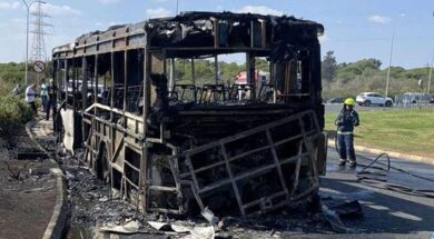 cache_1300x500_Analog_medium_1353662_198011_25_11_24_090547