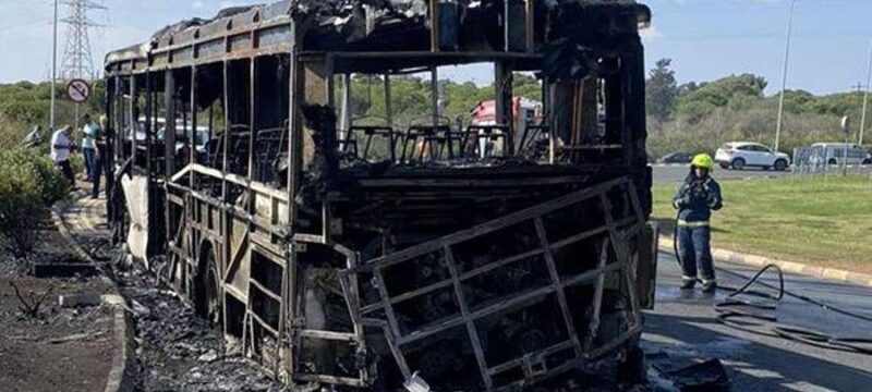 cache_1300x500_Analog_medium_1353662_198011_25_11_24_090547