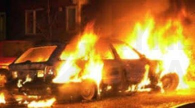 cache_780x1200_Analog_medium_443972_83345_29022020093613