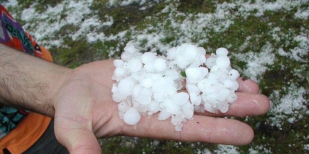 Τμ. Γεωργίας: Δέχεται αιτήσεις για ζημιές από χαλάζι – Για τις επαρχίες Λάρνακας και Αμμοχώστου