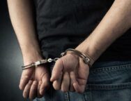 cheiropedes_syllepse