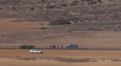 doc202410307498807081a4244-large_thumbnail