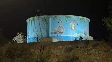 doc202511159396956ntepozito-thumb