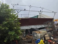 doc202511259444169zimiesanemostroviloavgorou2_1_1764083802-thumb