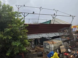 doc202511259444169zimiesanemostroviloavgorou2_1_1764083802-thumb