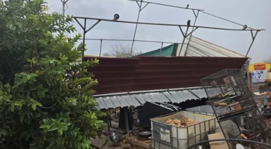 doc202511259444169zimiesanemostroviloavgorou2_1_1764083802-thumb