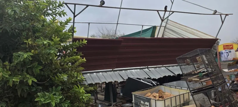 doc202511259444169zimiesanemostroviloavgorou2_1_1764083802-thumb