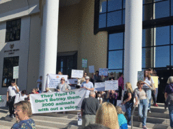 ekdilosi-diamartyrias-gia-katafygio-zoon