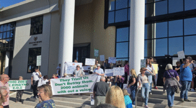 ekdilosi-diamartyrias-gia-katafygio-zoon