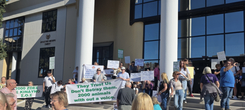 ekdilosi-diamartyrias-gia-katafygio-zoon