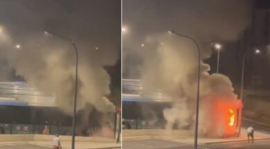 fotia-leoforeio-pafos-2048×1152