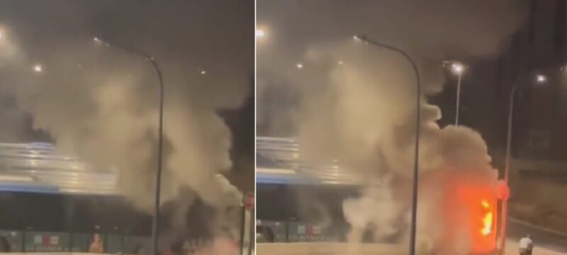 fotia-leoforeio-pafos-2048×1152