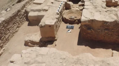 ghighighighi_0-thumb