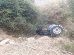 img_d6797c8d9011c5f53054f75e0a86004a_v-large_thumbnail