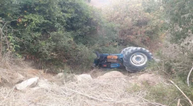 img_d6797c8d9011c5f53054f75e0a86004a_v-large_thumbnail