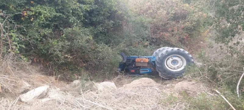 img_d6797c8d9011c5f53054f75e0a86004a_v-large_thumbnail