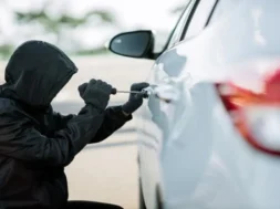 imgsrc-large_thumbnail