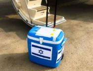 ksthiighfithghthgh-thumb (1)