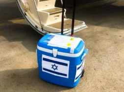 ksthiighfithghthgh-thumb (1)