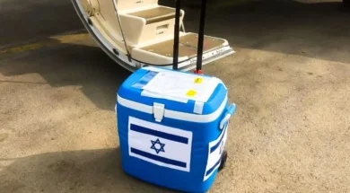 ksthiighfithghthgh-thumb (1)