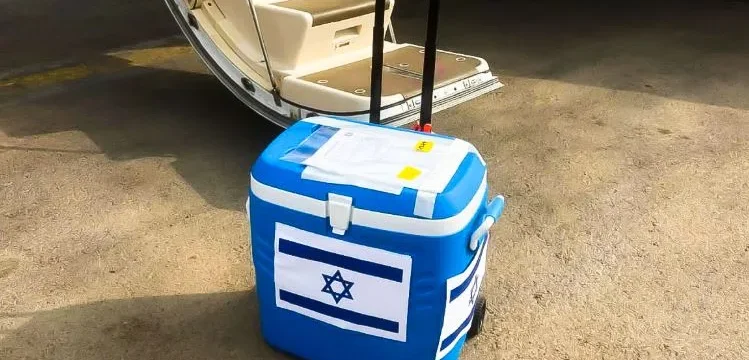 ksthiighfithghthgh-thumb (1)