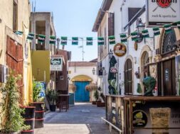 larnaca-sokaki-polis