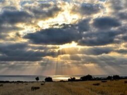 minallagiaaa3.original