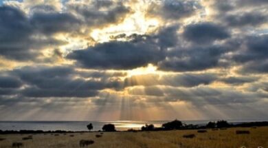 minallagiaaa3.original