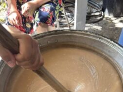 palouzes-e1762335113924-768×434 (1)