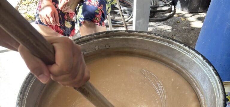 palouzes-e1762335113924-768×434 (1)