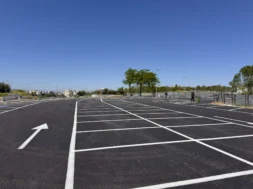 parkin-nea-elvetia-6